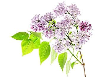 《暗黑破坏神4》已开发完成 进入送厂压盘阶段