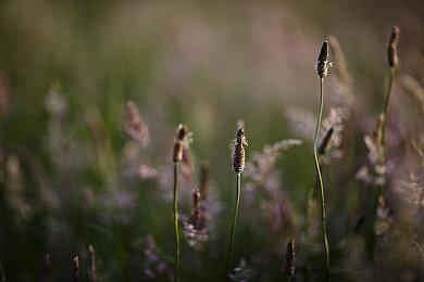 游戏科学创始人：《黑神话：悟空》还有很多工作要做