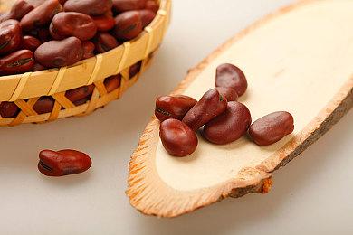 《神秘岛》诞生30周年纪念 多款系列作品打包优惠